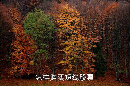 短线股票怎么买，怎样购买短线股票