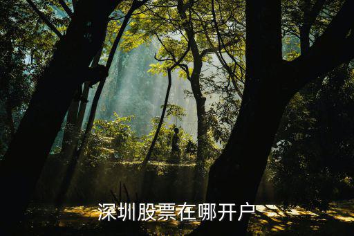 深圳股票在哪开户