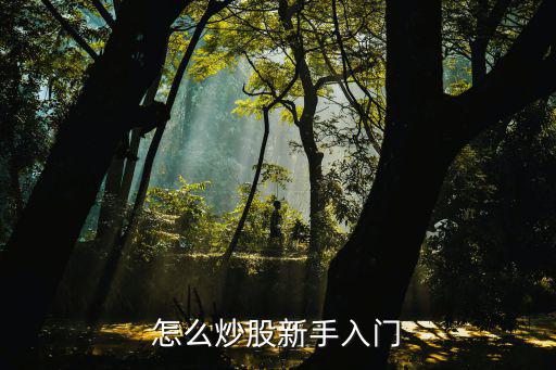 怎么炒股新手入门