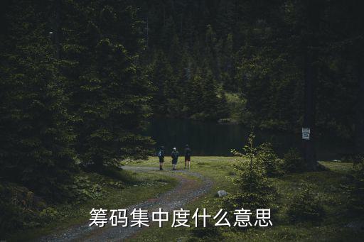 筹码集中度什么意思