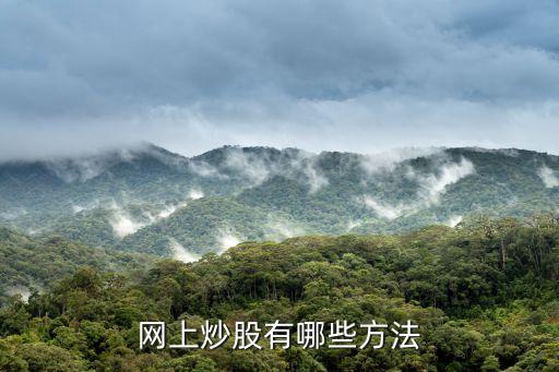 股票网上怎么玩的，网上炒股有哪些方法