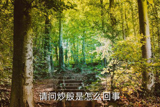 请问炒股是怎么回事