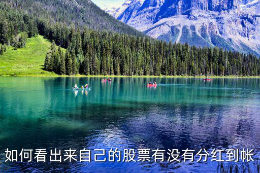 如何看出来自己的股票有没有分红到帐