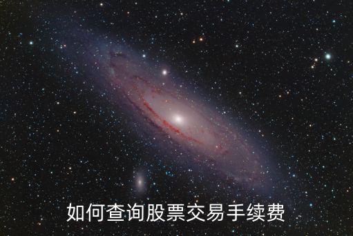 如何查询股票交易手续费