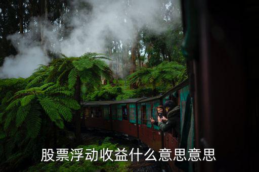 股票浮动收益什么意思意思