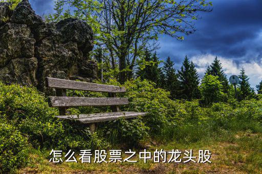 怎么看股票之中的龙头股