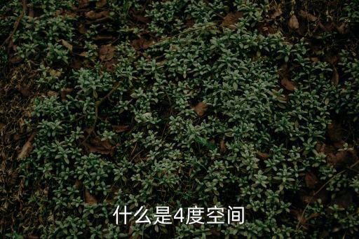 股票4度空间是什么，四度空间是什么