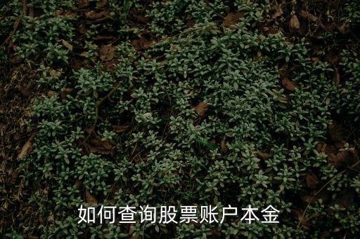 股票怎么看资金，如何查看股票资产帐户资金