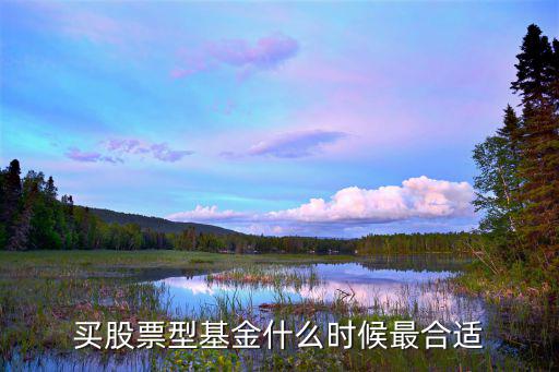 什么时段才能买股票基金，股票型基金什么时候买进