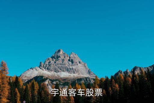 宇通客车股票