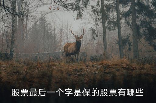 股票最后一个字是保的股票有哪些