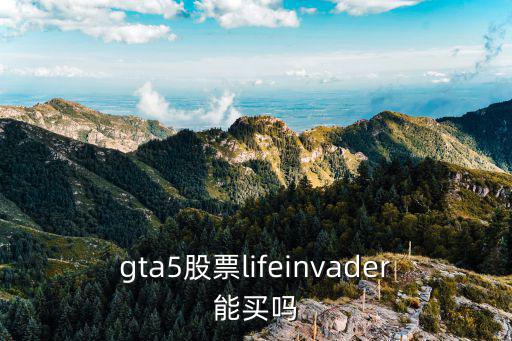 gta5股票lifeinvader能买吗