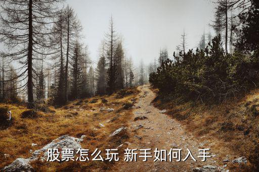 股票怎么玩 新手如何入手