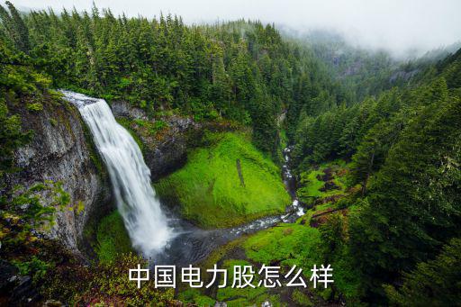 中国电力股怎么样