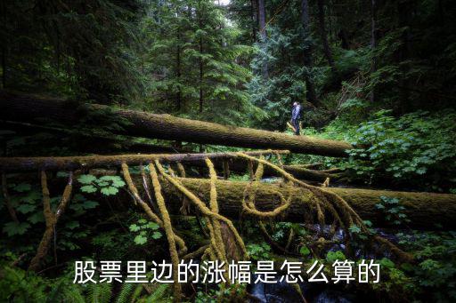股票里边的涨幅是怎么算的