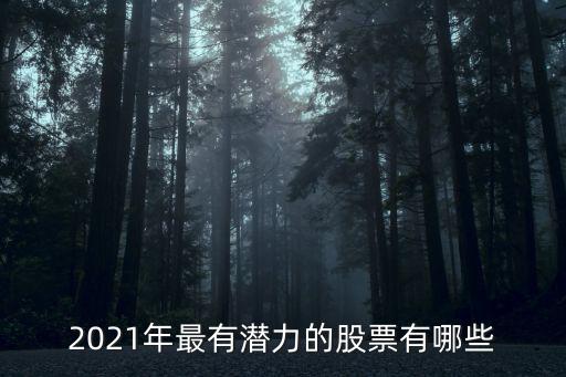 2021年最有潜力的股票有哪些