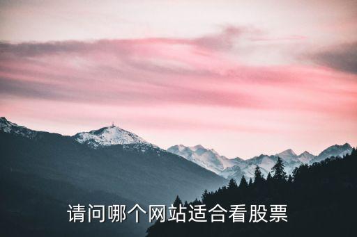 请问哪个网站适合看股票