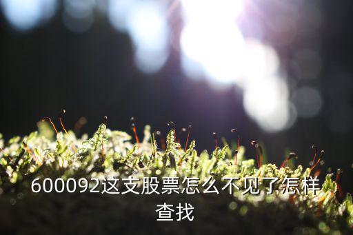 600092这支股票怎么不见了怎样查找