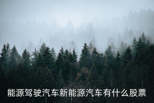 能源驾驶汽车新能源汽车有什么股票