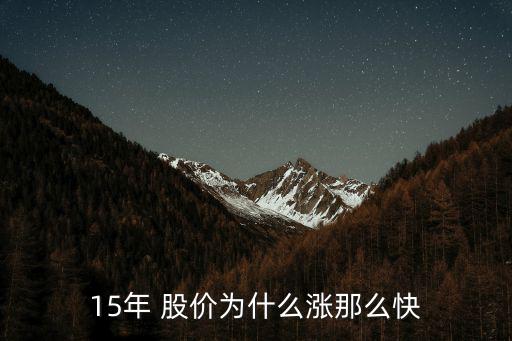 15年 股价为什么涨那么快