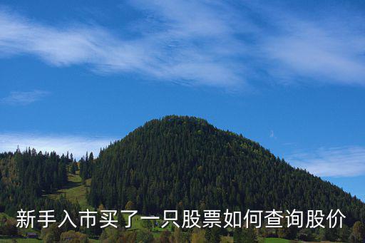 怎么查询股票价格，如何查询当日的股票行情