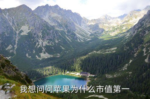 苹果股票为什么那么强劲，我想问问苹果为什么市值第一