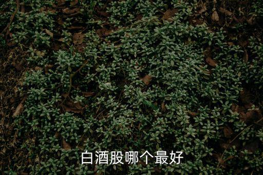 白酒股哪个最好