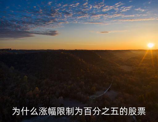 股票涨幅为什么是5，为什么涨幅限制为百分之五的股票