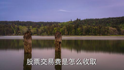 股票交易费怎么算的，股票交易费是怎么收取