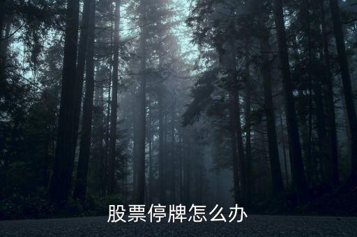 股票停牌怎么办