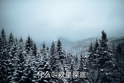 什么叫双星探底