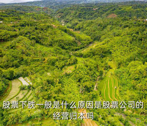 股票下跌一般是什么原因是股票公司的经营归本吗