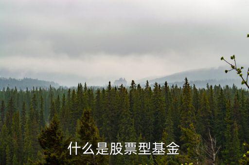 什么是股票型基金