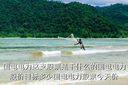 火电股票有什么用，股票有什么用