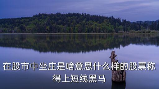 在股市中坐庄是啥意思什么样的股票称得上短线黑马