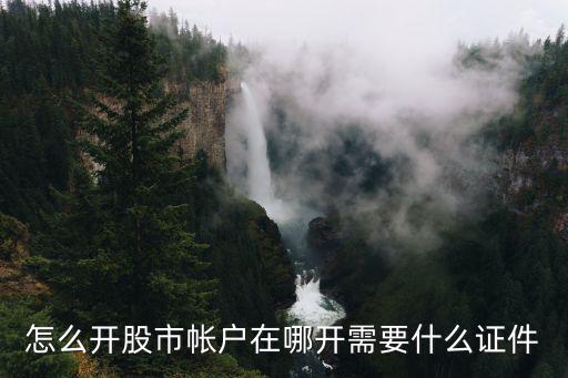 怎么开股市帐户在哪开需要什么证件