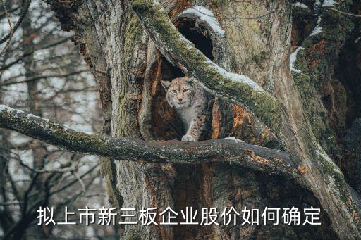 拟上市新三板企业股价如何确定