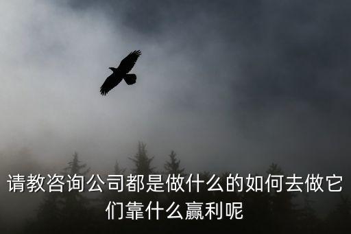 请教咨询公司都是做什么的如何去做它们靠什么赢利呢