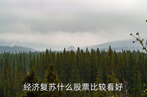 疫情过后什么股票火起来，最近什么股票走得最红