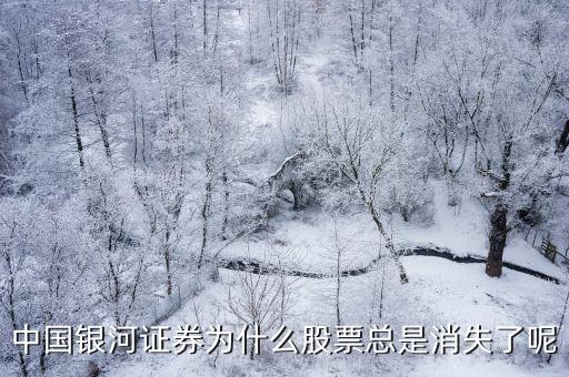 证券股票怎么了，中国银河证券为什么股票总是消失了呢