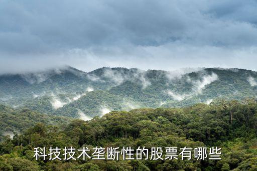 科技技术垄断性的股票有哪些