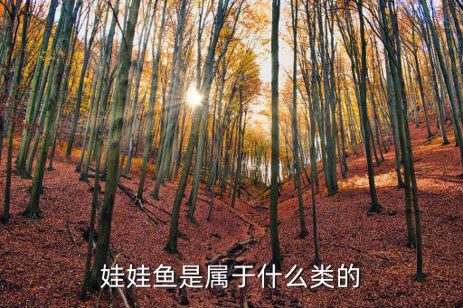 娃娃鱼是什么股票，猜猜这个股票是什么