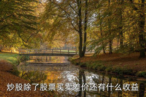 炒股除了股票买卖差价还有什么收益