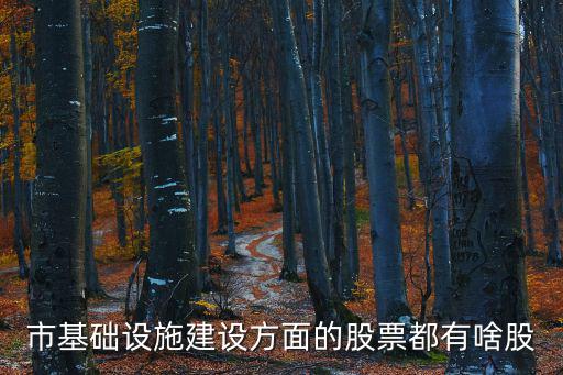 市基础设施建设方面的股票都有啥股
