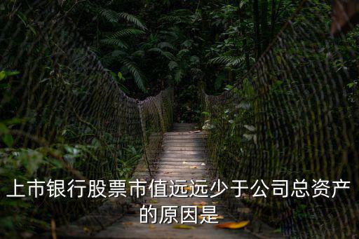 上市银行股票市值远远少于公司总资产的原因是