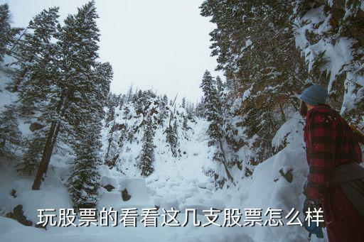 玩股票的看看这几支股票怎么样