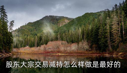 股东大宗交易减持怎么样做是最好的