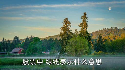 绿色股票怎么看的，股票怎么看