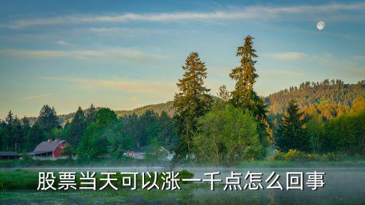 股票当天可以涨一千点怎么回事