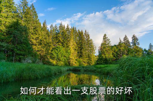 如何才能看出一支股票的好坏